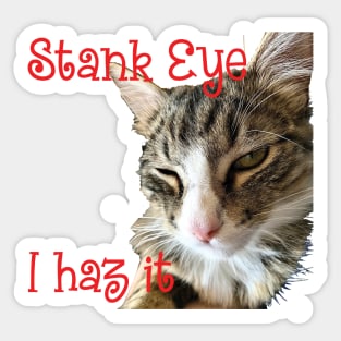 STANK EYE, I haz it! annoyed Maine Coon cat Sticker